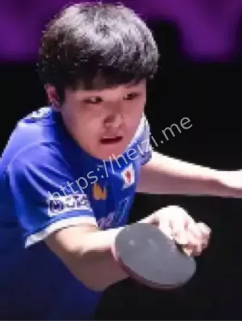 薛飞张本智和比分